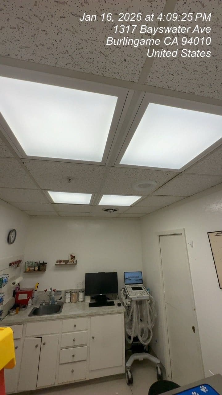 Project Lighting Upgrade at a Veterinary Clinic Burlingame image