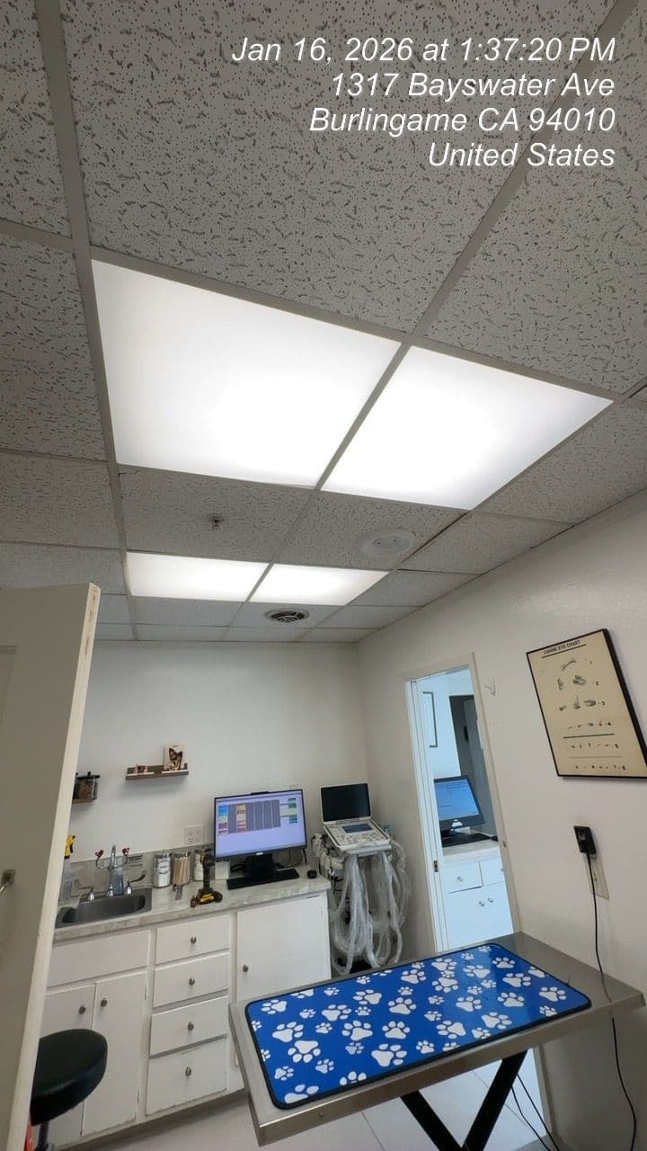 Gallery photos for Lighting Upgrade at a Veterinary Clinic Burlingame: Image #2