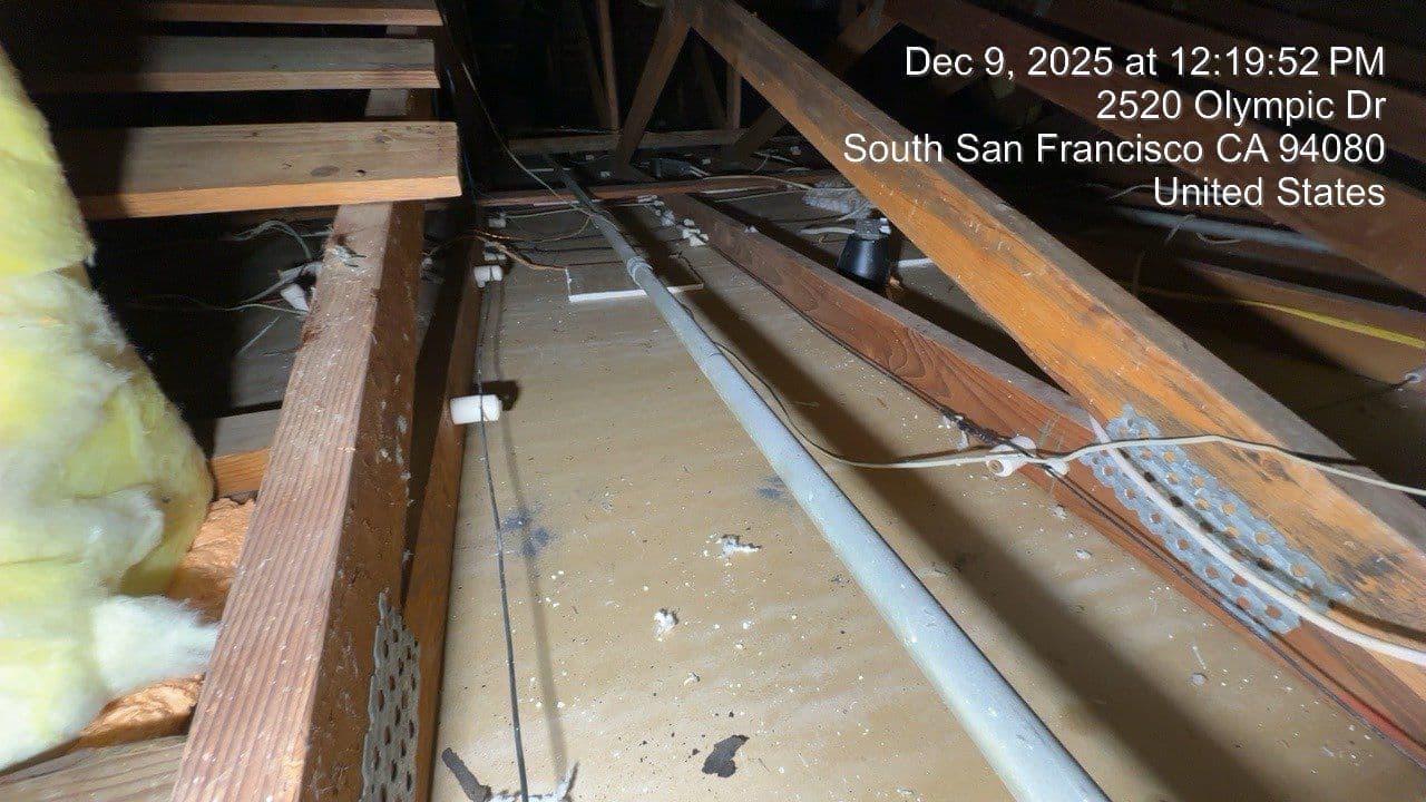 Gallery photos for Knob and Tube Wiring Upgrade in South San Francisco: Image #2